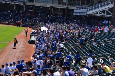 DSC_1710 (Large).JPG